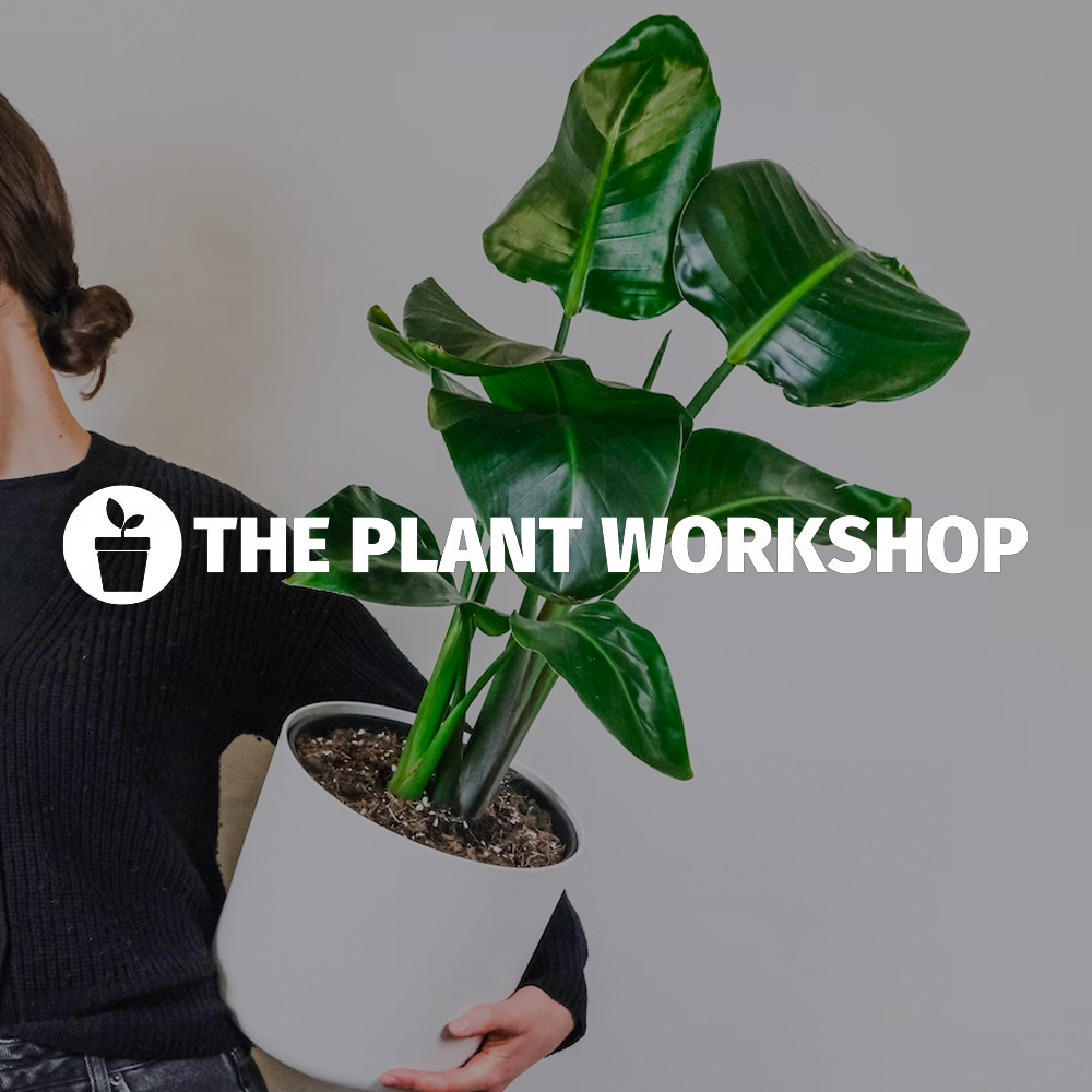 The Plant Workshop Billingham logo